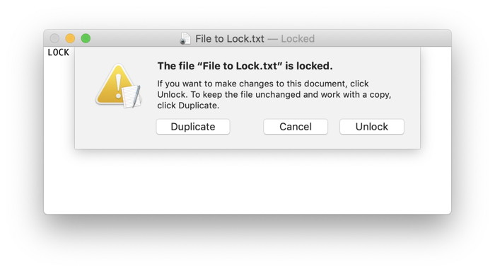 Lock Files