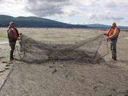 Clam area with net