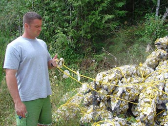 Examining an Oyster Longline Clutch